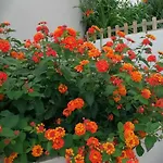 Apartmán In With Sea View, Balcony, Air Conditioning, Wifi 5155-1