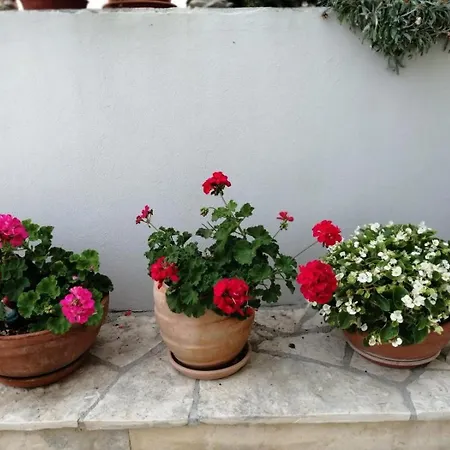 In With Sea View, Balcony, Air Conditioning, Wifi 5155-1 Apartman