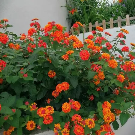 Apartmán In With Sea View, Balcony, Air Conditioning, Wifi 5155-1