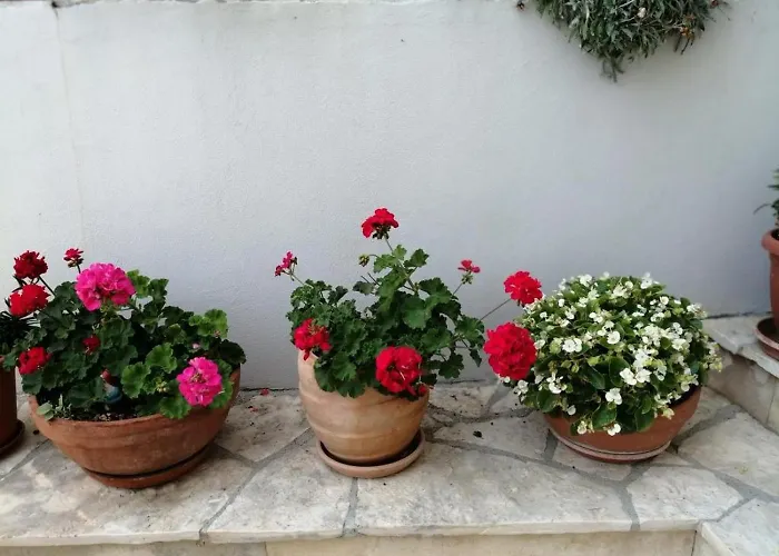 In With Sea View, Balcony, Air Conditioning, Wifi 5155-1 Daire