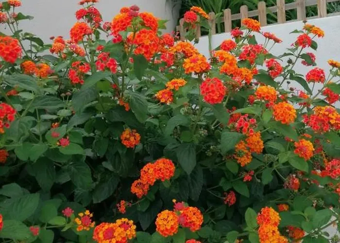 Apartment In With Sea View, Balcony, Air Conditioning, Wifi 5155-1